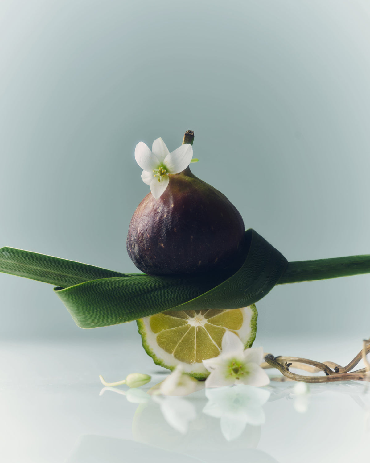 A fig cradled in green leaves above a halved citrus fruit and small white blossoms on a pale surface