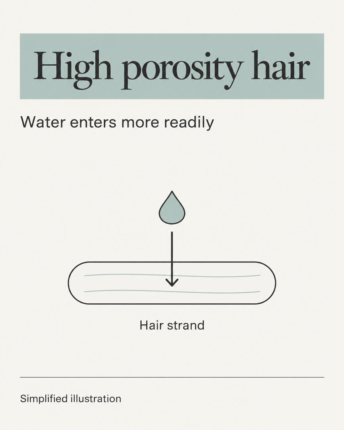 Illustration of high-porosity hair, with a water droplet and an arrow showing water entering the strand more readily.
