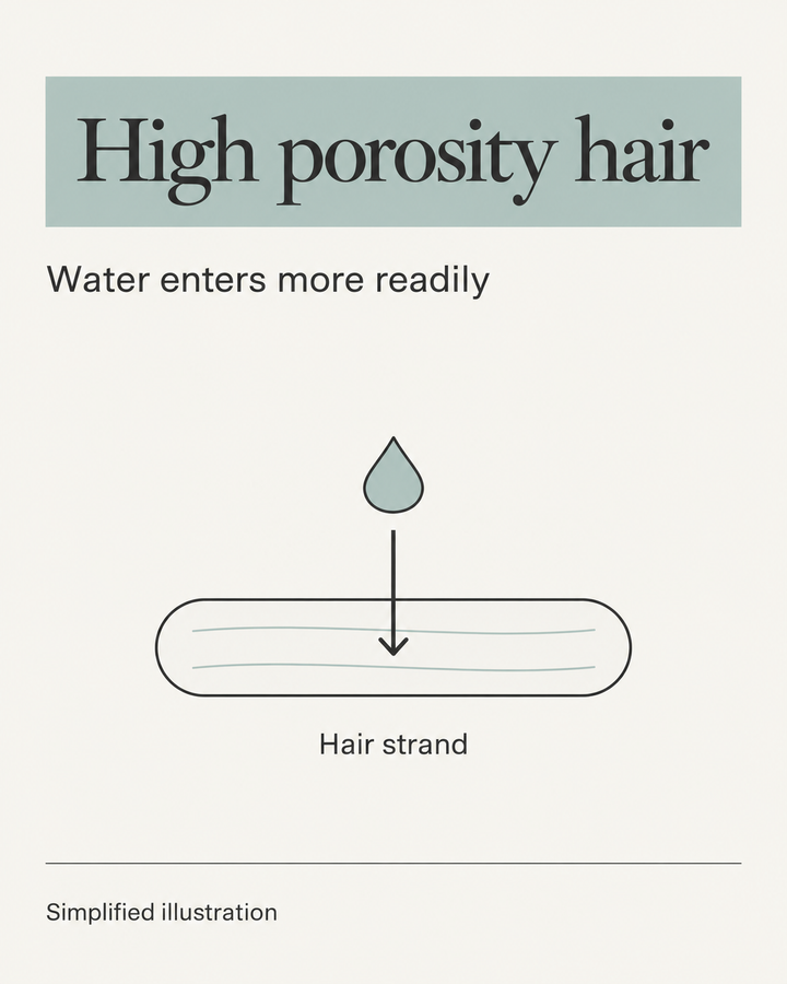 Illustration of high-porosity hair, with a water droplet and an arrow showing water entering the strand more readily.