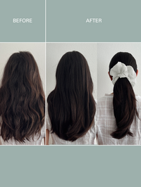 Mini Discovery Hair Trio