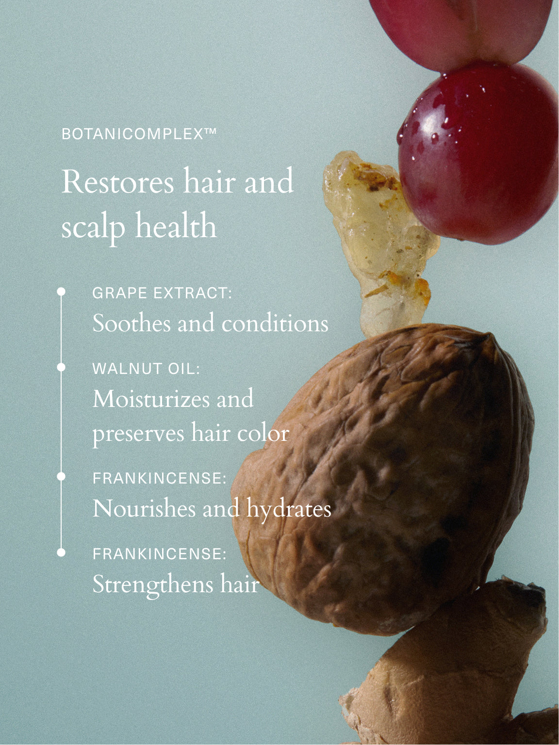 RŌZ Conditioner | Hydrating for Curly, Dry & All Hair Types | RŌZ