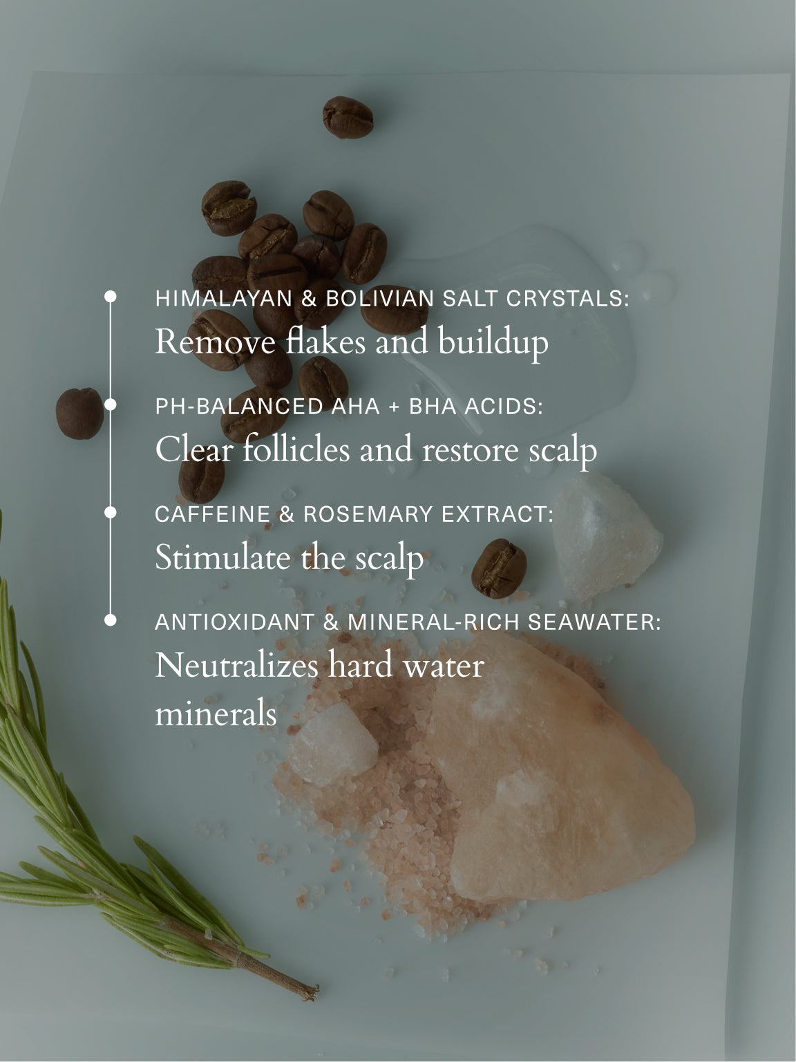 Salt Scalp Scrub